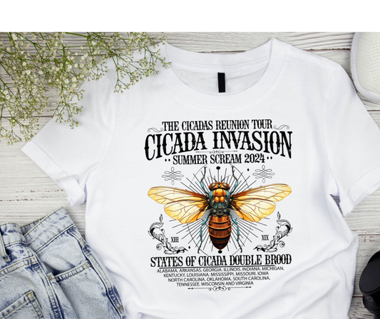 Cicada Invasion